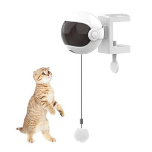 Jouet interactif pour chat