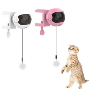 Jouet interactif pour chat